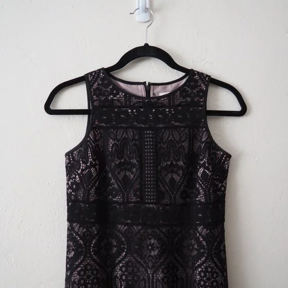 Ann Taylor LOFT Petites Sleeveless Lace Dress - Picture 3 of 5